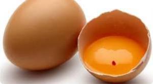 Что будет, если съесть яйцо с кровью 